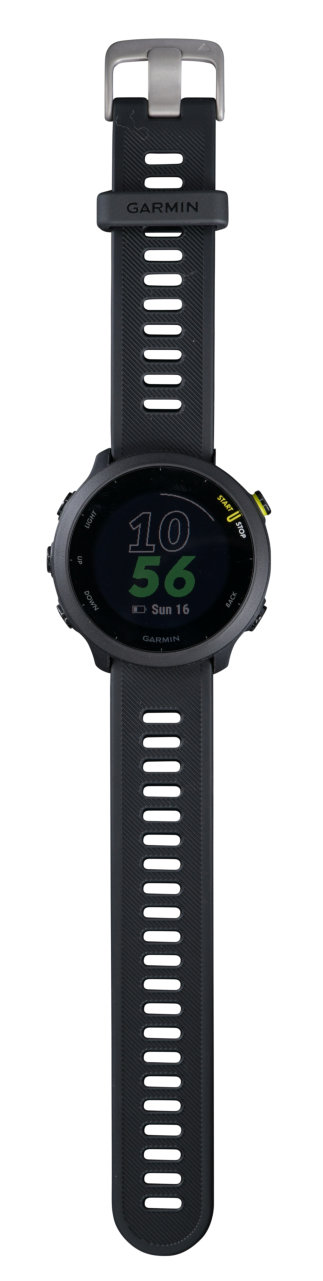 Garmin International Forerunner 55
