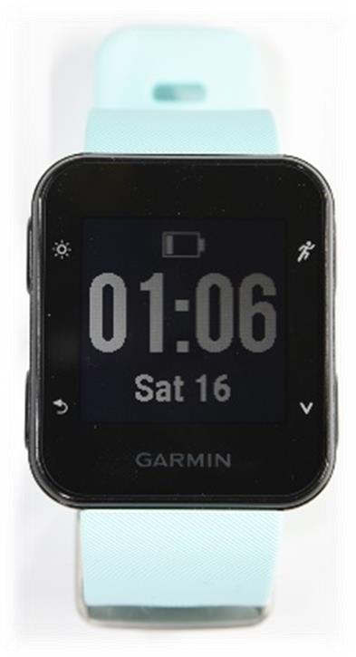 Garmin International Forerunner35 4YR194919