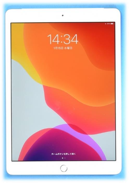 APPLE iPad 7thgen A2198