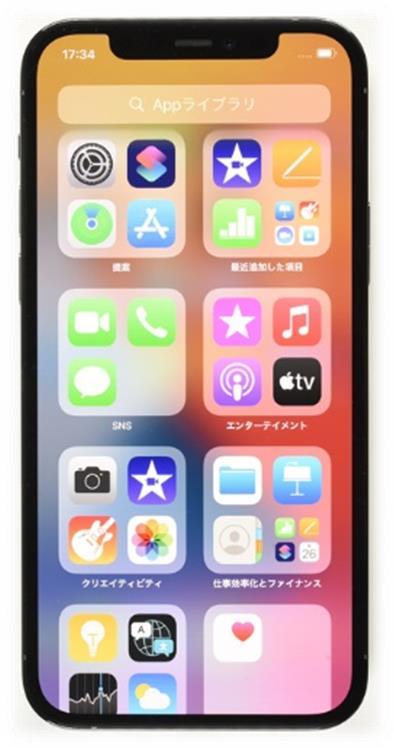 APPLE iPhone 12 Pro A2406