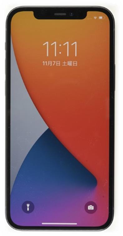APPLE iPhone 12 A2172