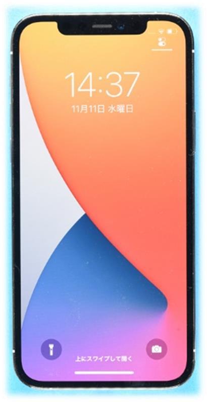 APPLE iPhone 12 Pro A2341