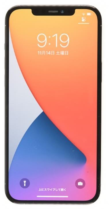 APPLE iPhone 12 Pro Max A2410