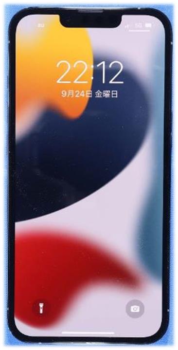 APPLE iPhone 13 Pro A2636