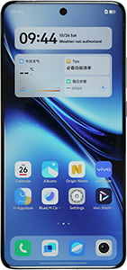 VIVO X200 Pro
