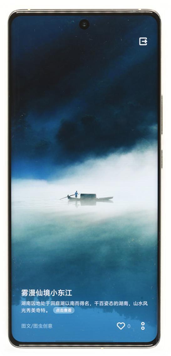 VIVO X100