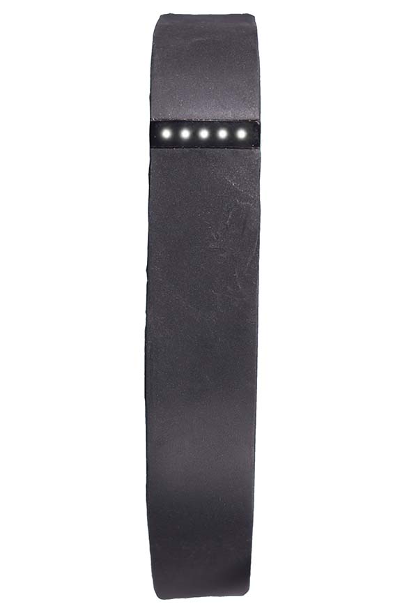 Fitbit Flex