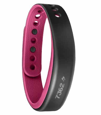 Garmin International Vivosmart