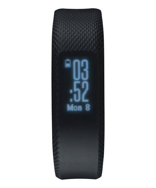Garmin International Vivosmart 3