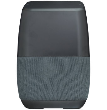Insignia Voice
