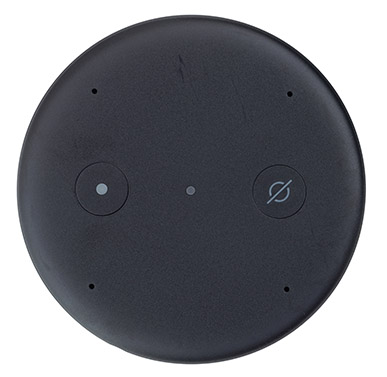 Amazon Echo Input