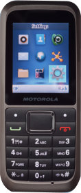 MOTOROLA WX306 (Bunting 3G)