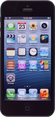 APPLE iPhone 5 16GB